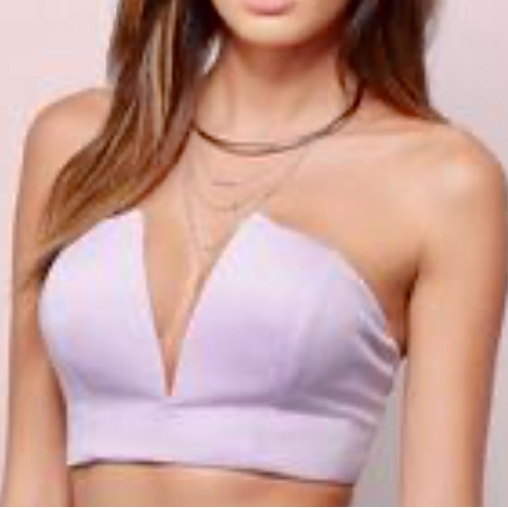 Tobi Lilac V-Neck Crop Top
